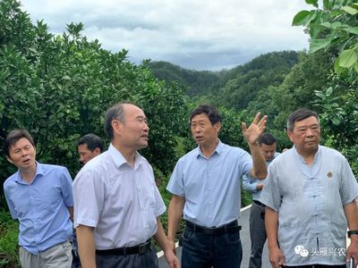 問診把脈,精準指導,把培育課堂搬到生產果園--江西農業大學&ldquo;頭雁&rdquo;項目導師劉勇再到上饒學員基地調研指導