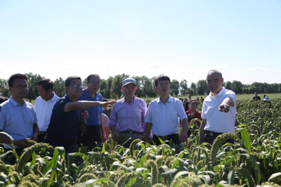 &ldquo;山西小米&rdquo;基地現場觀摩暨第三屆品牌標識授權儀式成功舉辦