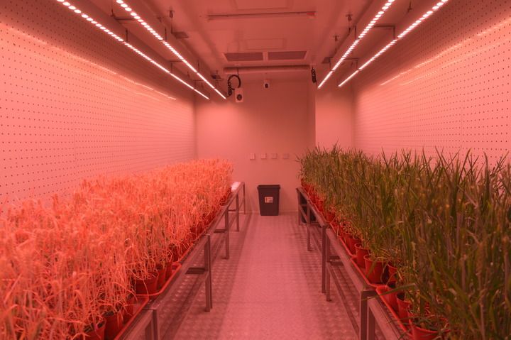 &ldquo;創新谷&rdquo;勾勒中部地區高質量發展新畫卷