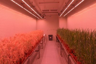 &ldquo;創(chuàng)新谷&rdquo;勾勒中部地區(qū)高質(zhì)量發(fā)展新畫卷