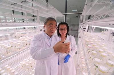 5&middot;30來啦!河南科技工作者們有話說