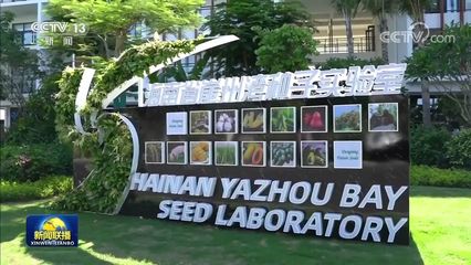 新思想引領(lǐng)新征程 攥緊中國(guó)種子 端穩(wěn)中國(guó)飯碗——農(nóng)業(yè)科學(xué)研究和試驗(yàn)發(fā)展的戰(zhàn)略意義