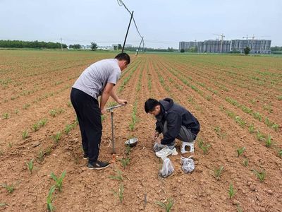 我國(guó)初步構(gòu)建農(nóng)業(yè)農(nóng)村長(zhǎng)期因子觀測(cè)網(wǎng) 推動(dòng)農(nóng)業(yè)科研與發(fā)展實(shí)現(xiàn)新突破