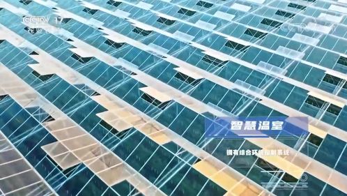 大國糧策 高科技引領農業生產邁入科幻新時代