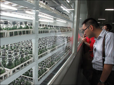 大浦鄉村世界 探索現代農業發展新模式