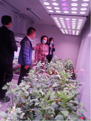 德州市外辦推動農業科學研究和試驗發展的戰略與實踐