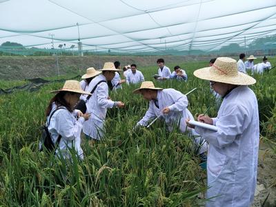 農業農村部科技發展中心 推動農業科學研究和試驗發展的核心引擎