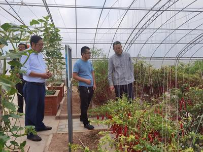 隴東學院與農科院攜手推動農業科技創新——黨委委員、副院長馬悅寧到市農科院調研指導工作